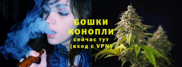 дживик Покров