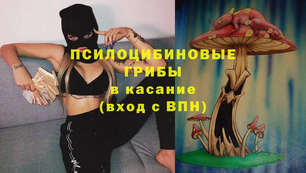 герыч Покровск