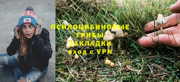 дживик Покров